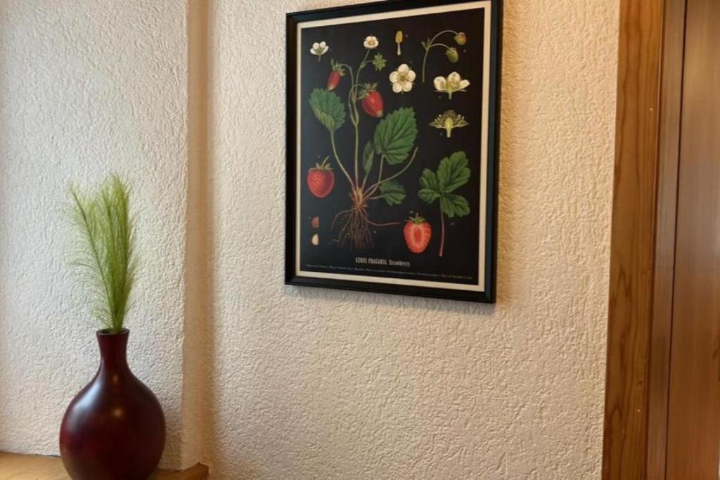 Revier Bliili Und Spitzer * Diesbach