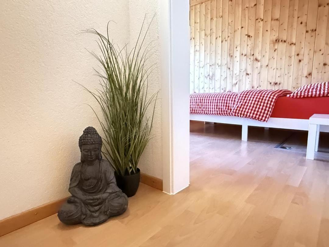 Revier Bliili Und Spitzer * Diesbach